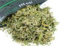 How To Find Cheap Weed Online